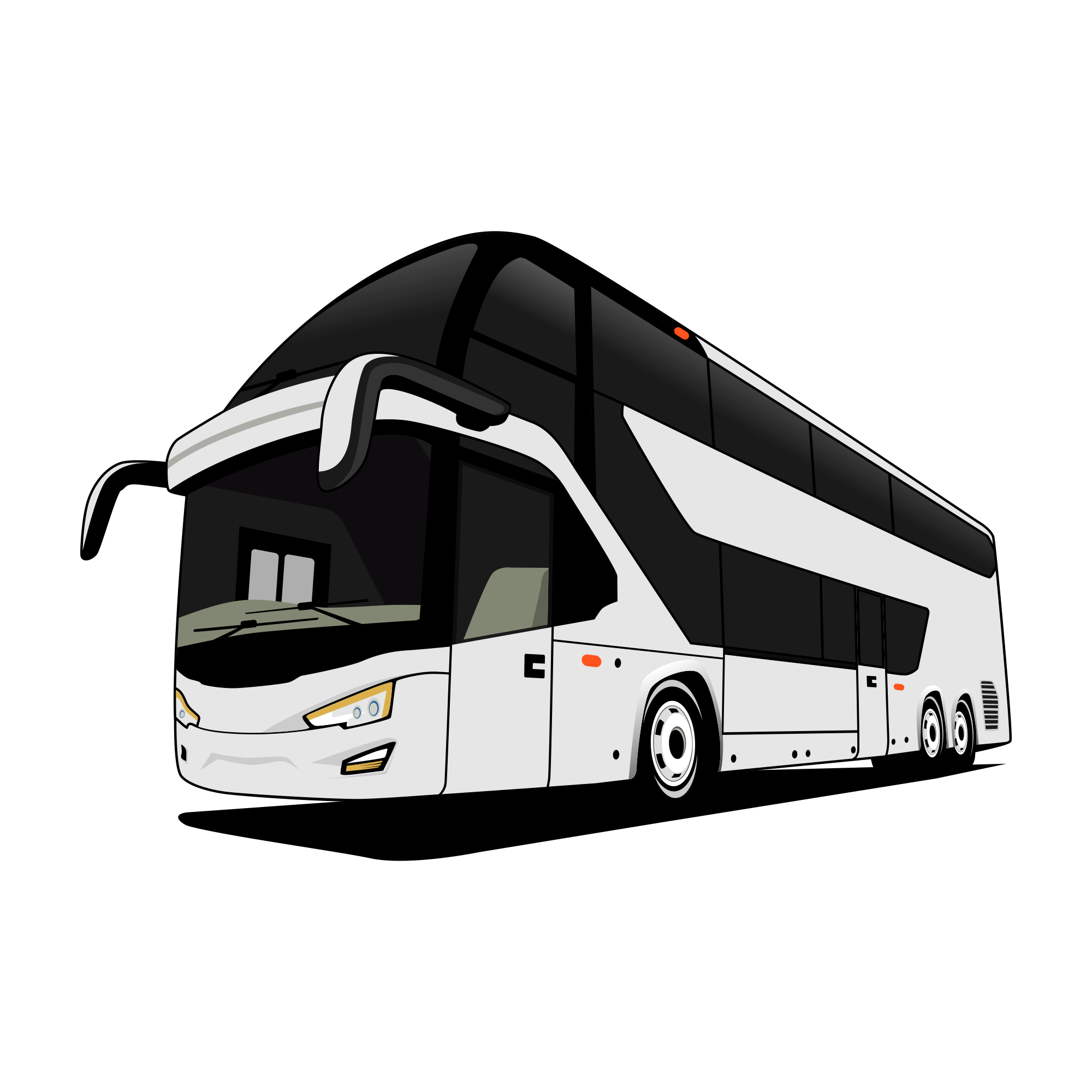 colectivo frontal